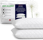 Adam Home Premium Quilted Pillows