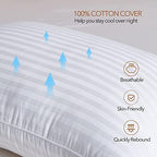 Adam Home Hotel Quality Stripe Pillows