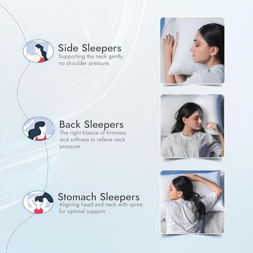 Adam Home Hotel Quality Textured Pillows