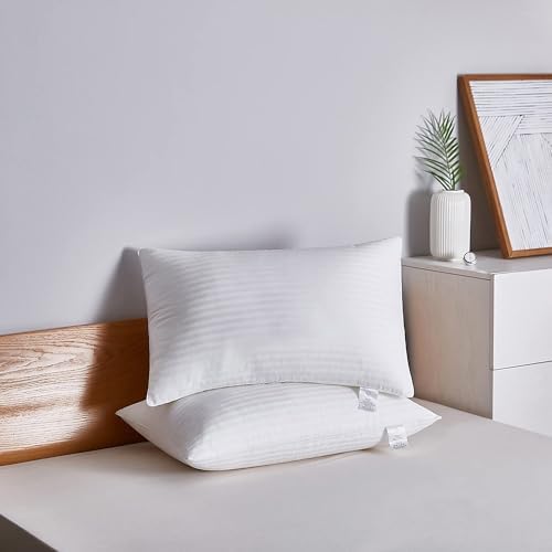 Adam Home Hotel Quality Stripe Pillows