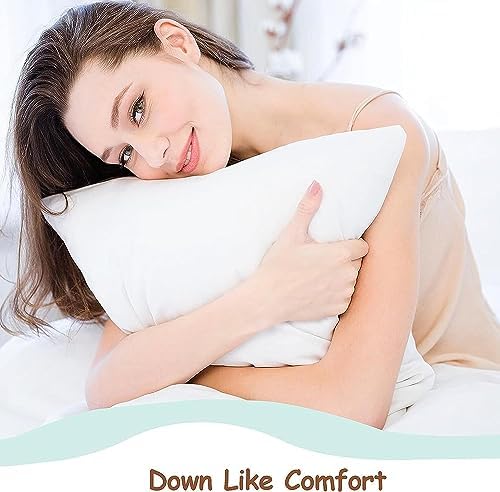 Adam Home Hollowfibre Cushion Inserts