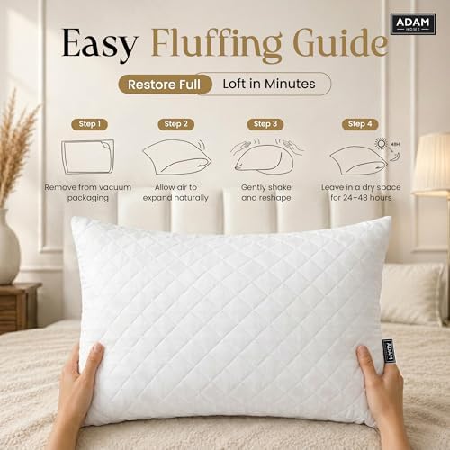 Adam Home Premium Quilted Pillows