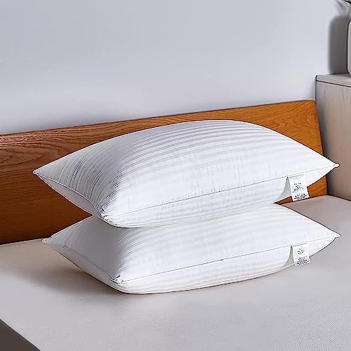 Adam Home Hotel Quality Stripe Pillows