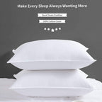 Adam Home Hotel Quality Duck Feather Pillows (2 Pack) – Side Sleeper, Quick Rebound, Dust Proof