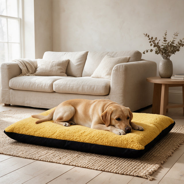 Labrador lying on the mustard Dog Bed Cushion in a calm linen living room
