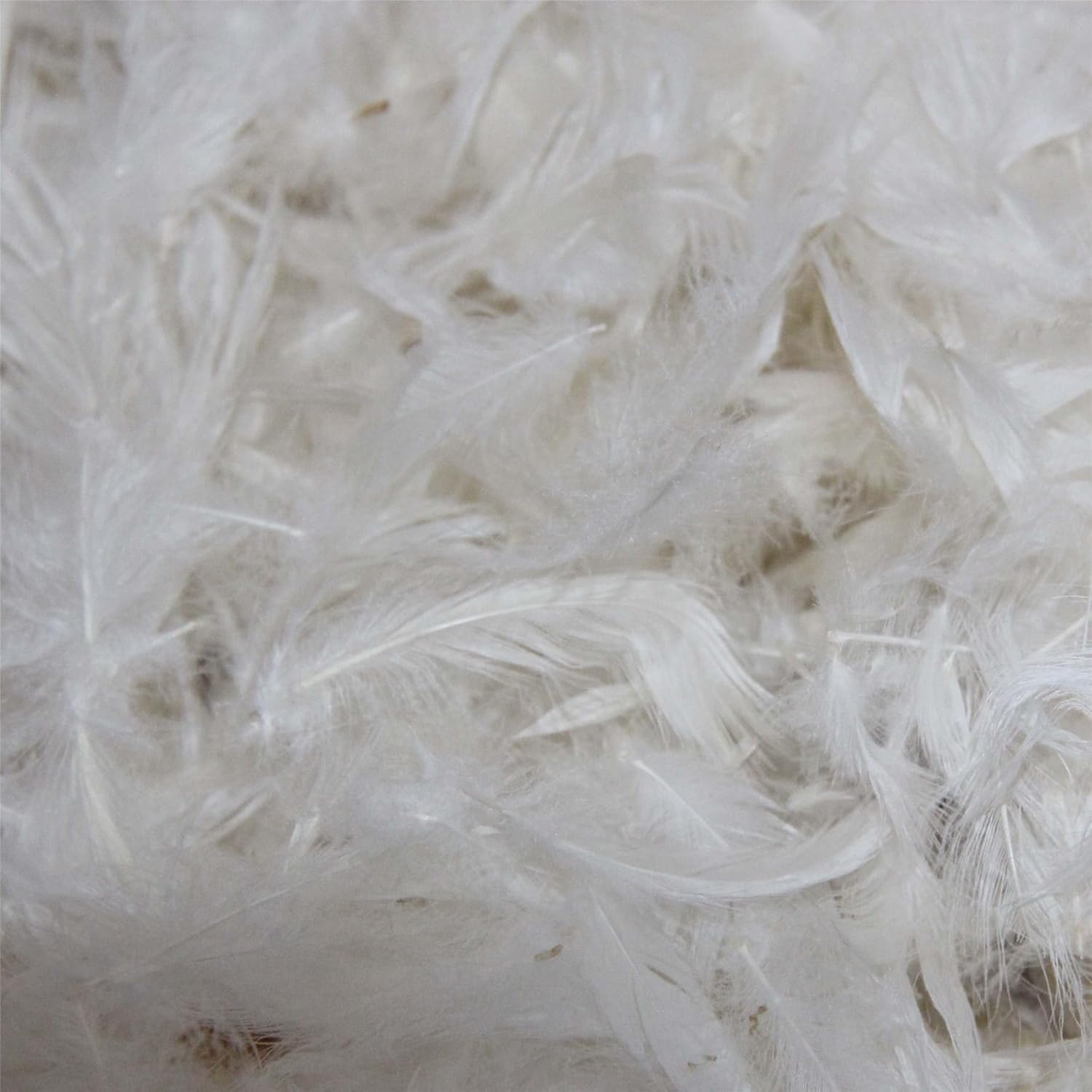 Duck Feather Filling – RDS Certified, 1 to 3 kg Secondary image