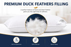 Duck Feather Pillows 48x74 cm – Cotton Cover, Packs of 2 & 4
