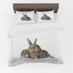 Animal Duvet Cover Set – Rabbits
