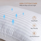 Satin Stripe Pillows 48x74 cm – Hollowfibre, Packs of 2-8 (view 4)