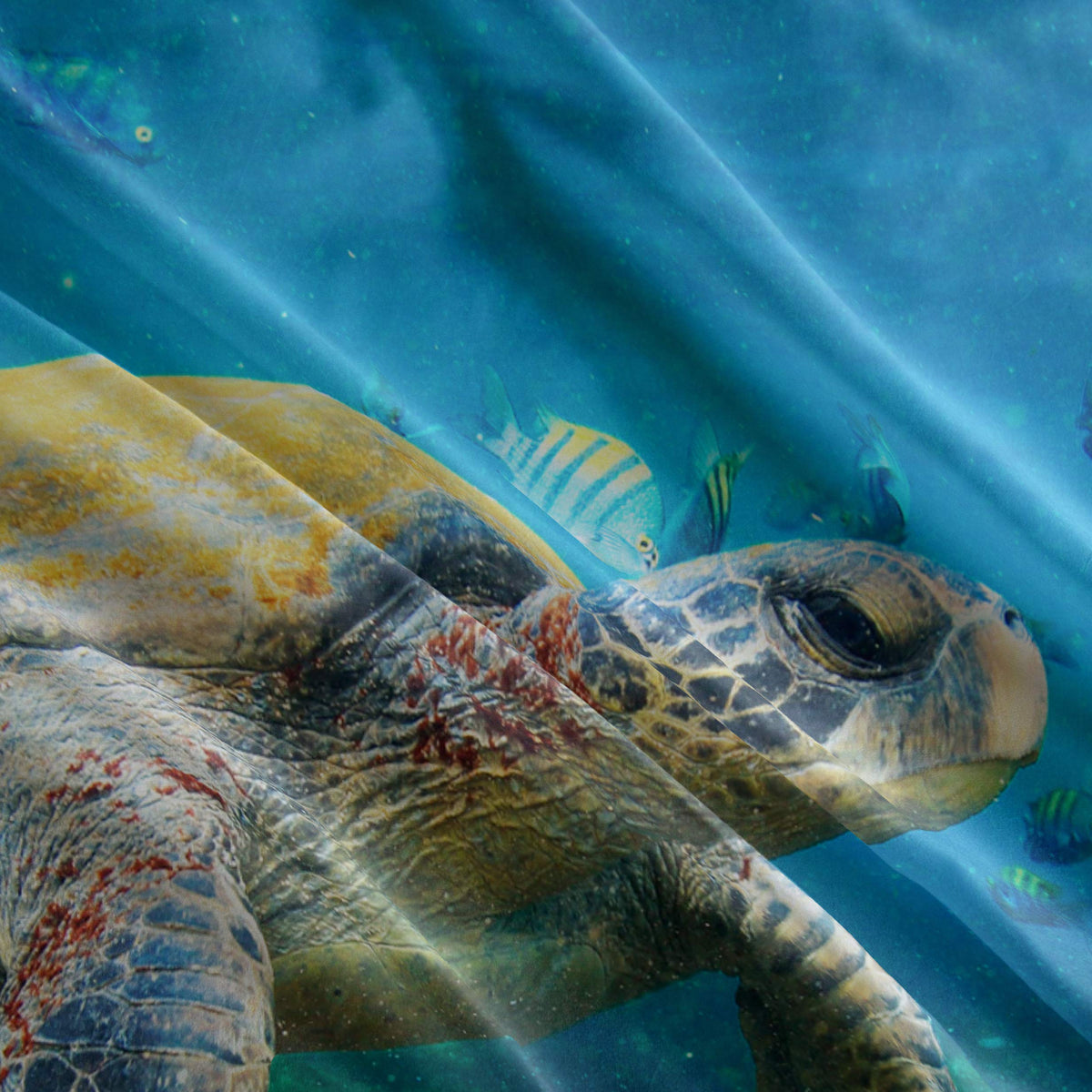 Sea Turtle Duvet Cover Set – 10 Designs, Single to Super King